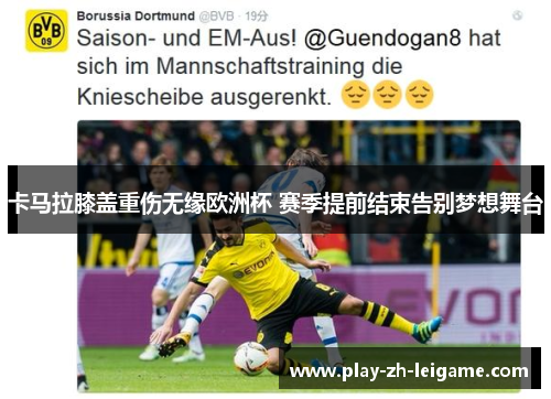 卡马拉膝盖重伤无缘欧洲杯 赛季提前结束告别梦想舞台 卡马拉膝盖重伤无缘欧洲杯 赛季提前结束告别梦想舞台