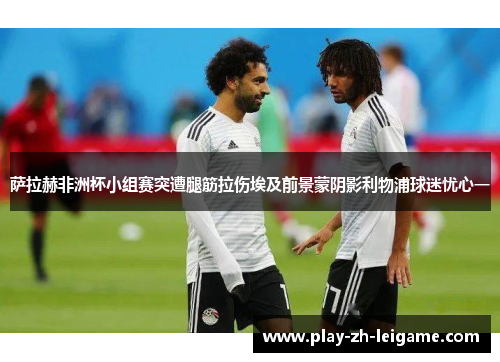 萨拉赫非洲杯小组赛突遭腿筋拉伤埃及前景蒙阴影利物浦球迷忧心一